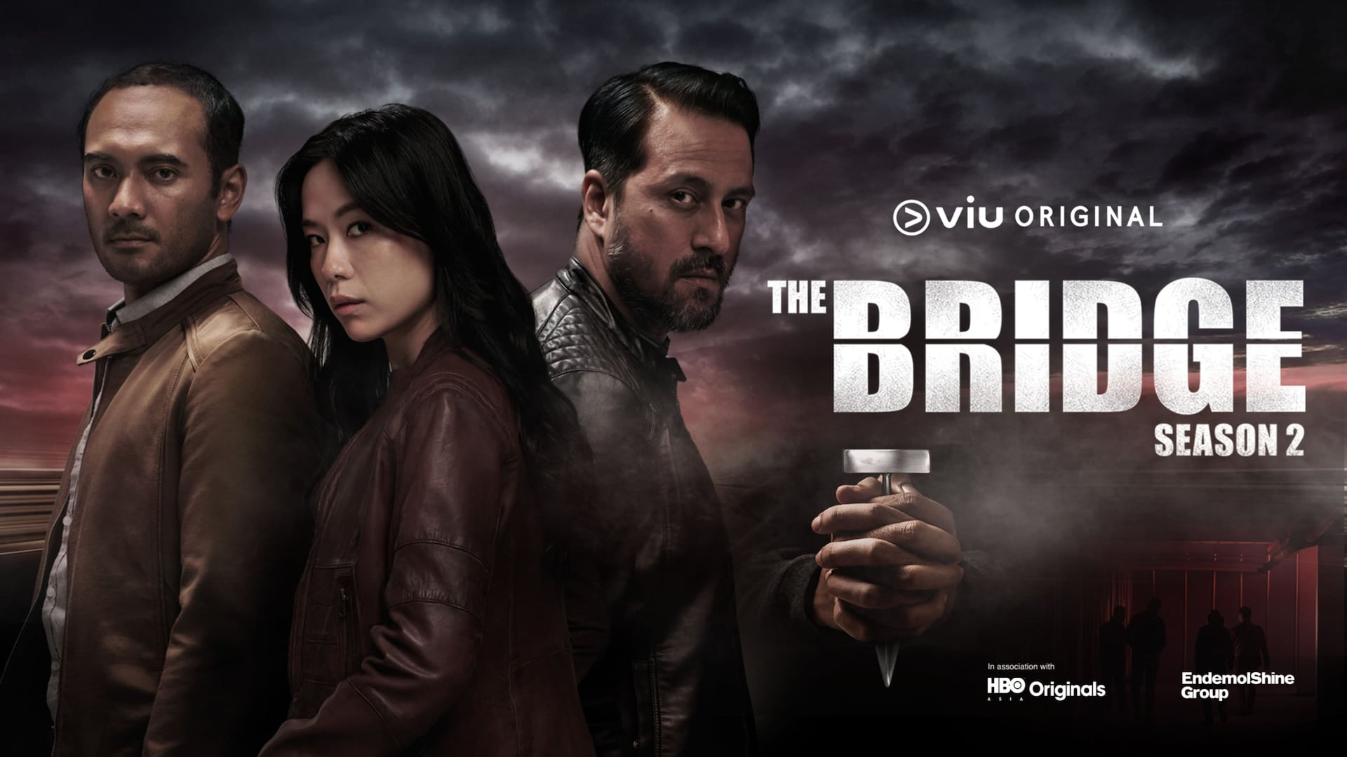 The Bridge (2013) Hindi Dubbed Season 2