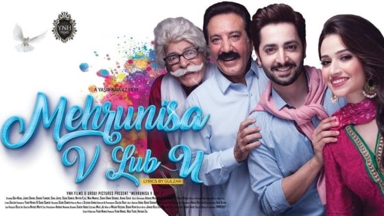 Mehrunisa V Lub U (2017) Pakistani Full Movie