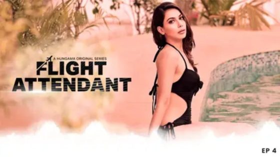 The Flight Attendant (2024) Hindi Season 1 Complete